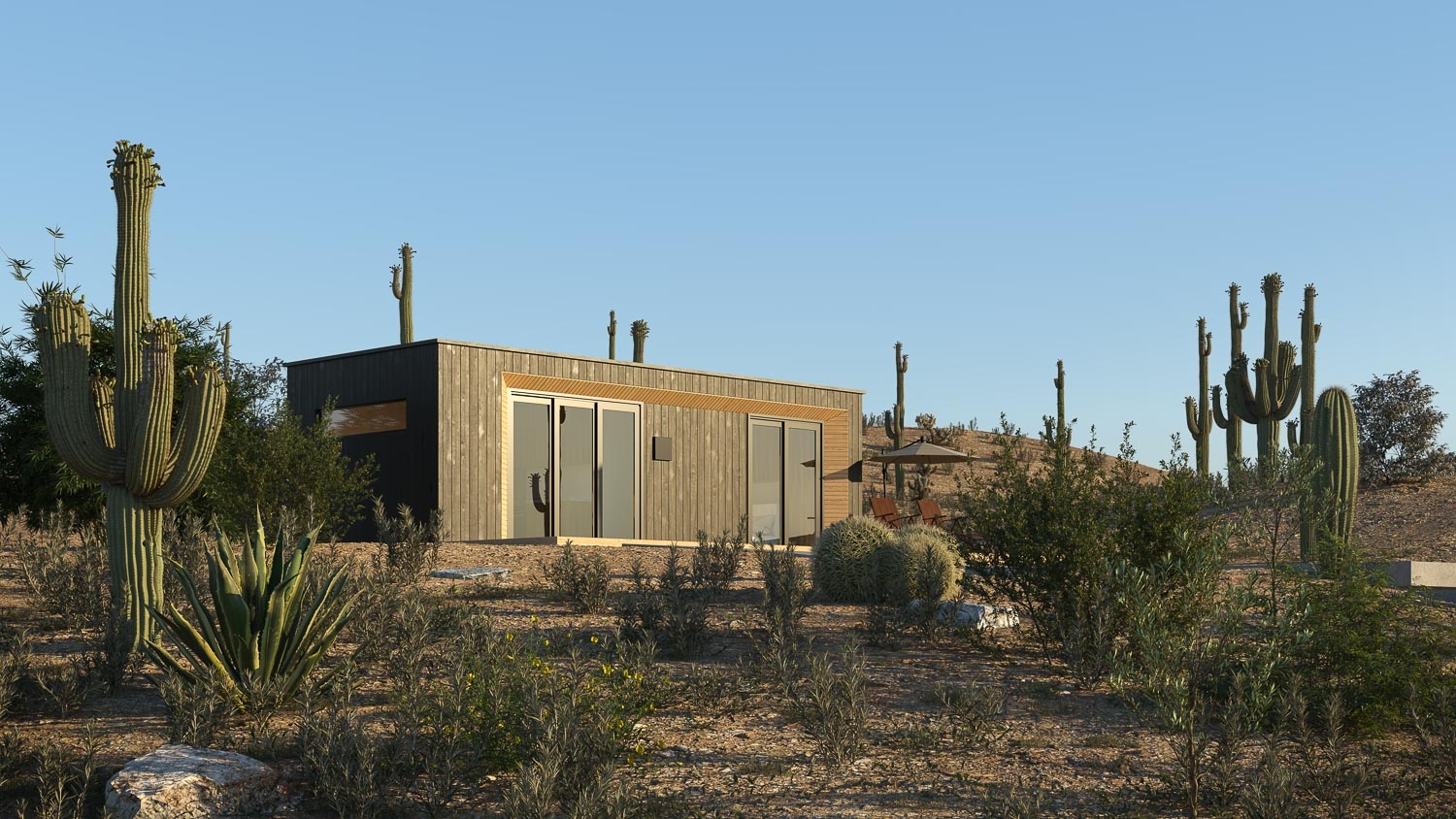 Modal ADU with gray wooden cladding in a desert surrounded by cacti